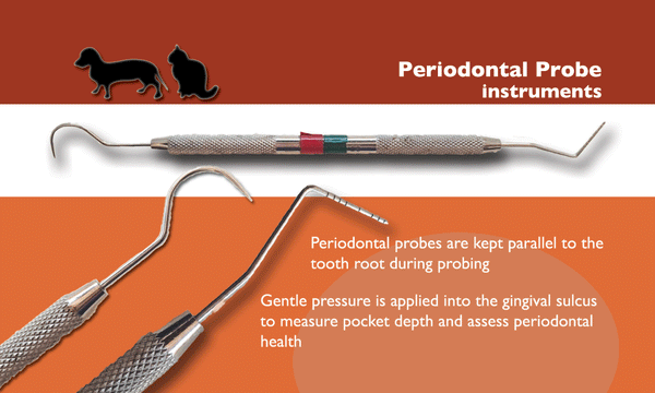 Veterinary Dentistry