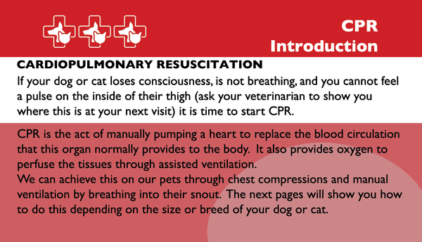Pet First Aid
