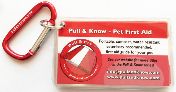 Pet First Aid (Veterinary edition)