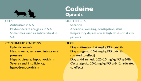 Veterinary Anesthesia - fourth edition