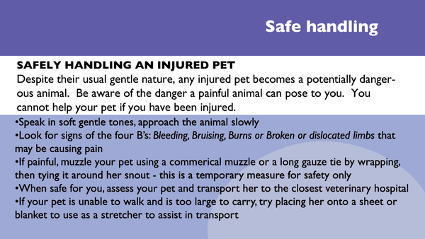 Pet First Aid