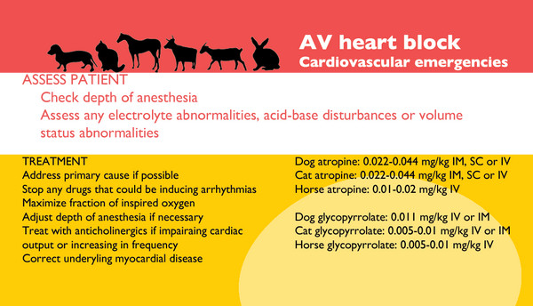 Veterinary Anesthesia - fourth edition