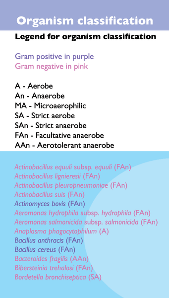 Veterinary Antimicrobials