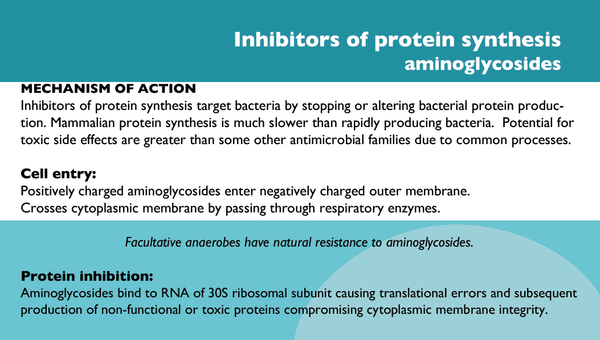 Veterinary Antimicrobials